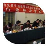 2006年3月10日，“產(chǎn)生負(fù)離子功能粉體及相關(guān)建材制品測試方法”行業(yè)標(biāo)準(zhǔn)審查會在北京召開。